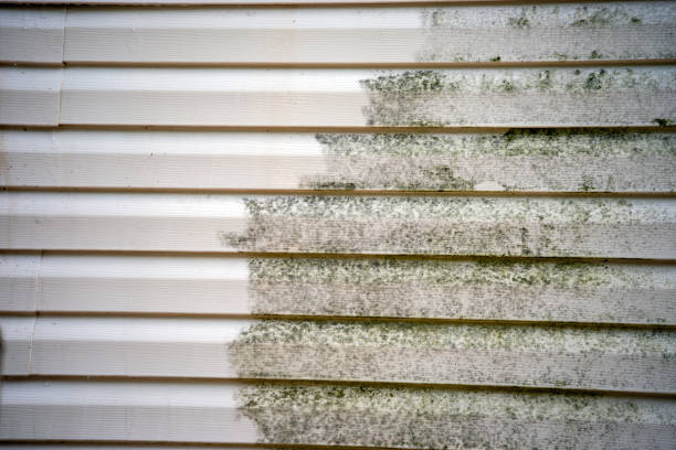 Best Furniture Removal  in Malverne, NY