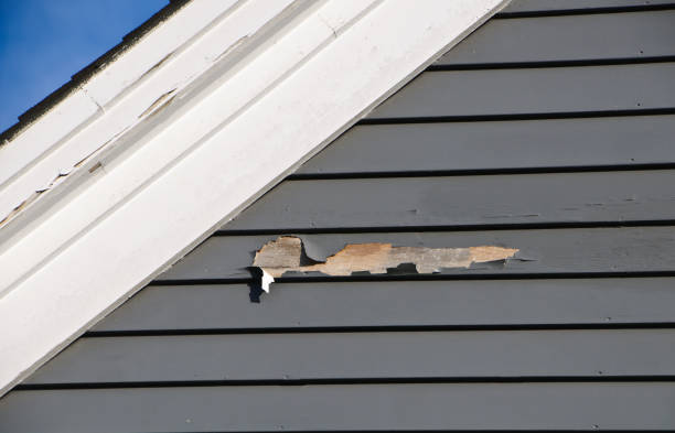 Best Shed Removal  in Malverne, NY